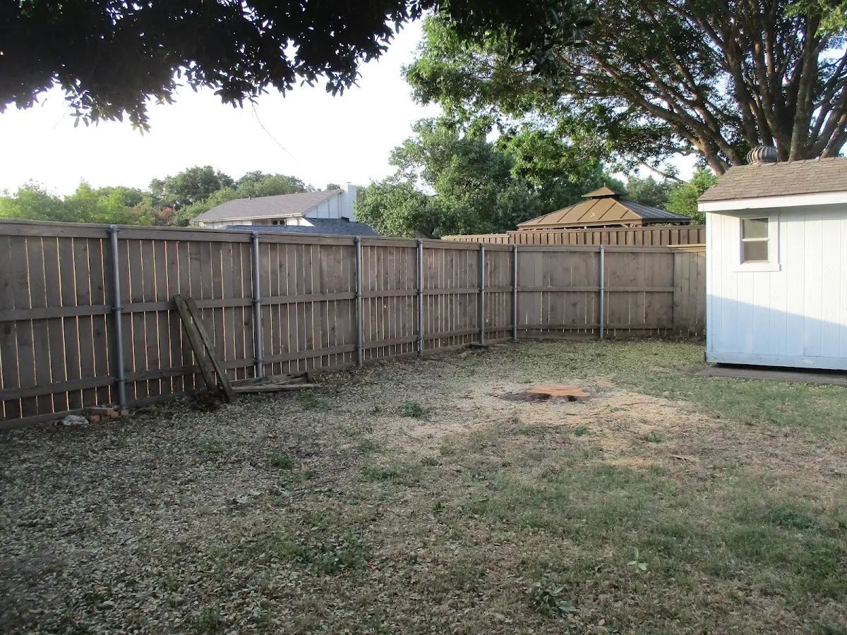 Cleared yard after professional tree removal in Ellington